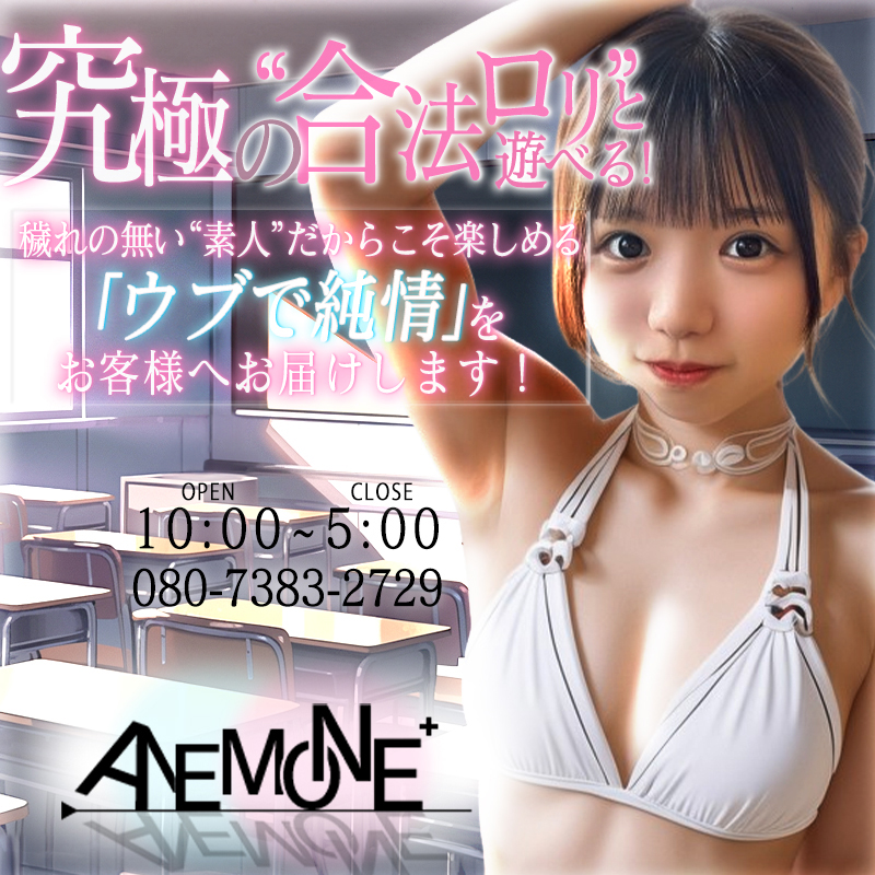 ANEMONE +